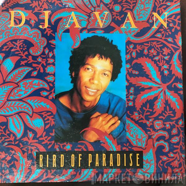 Djavan - Bird Of Paradise
