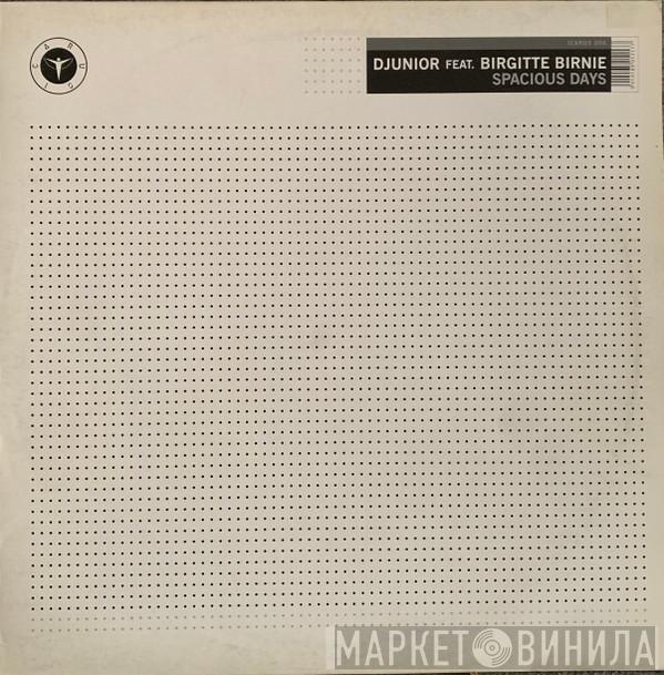 Djunior, Birgitte Birnie - Spacious Days