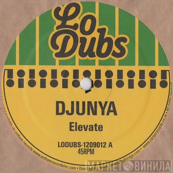 Djunya - Elevate