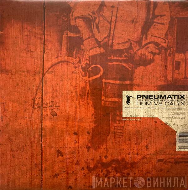 Dom & Roland, Calyx - Pneumatix (Sledgehammer) / See The Light