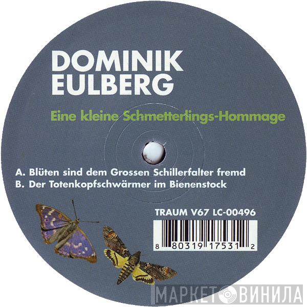 Dominik Eulberg - Eine Kleine Schmetterlings-Hommage