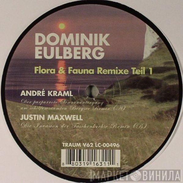  Dominik Eulberg  - Flora & Fauna (Remixe Teil 1)