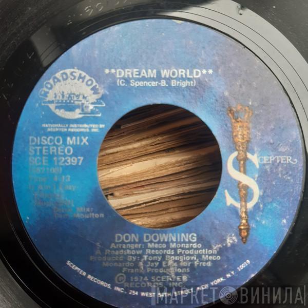  Don Downing  - Dream World