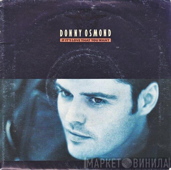 Donny Osmond - If It's Love That You Want