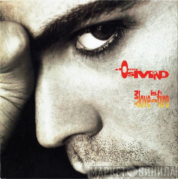 Donny Osmond - My Love Is A Fire