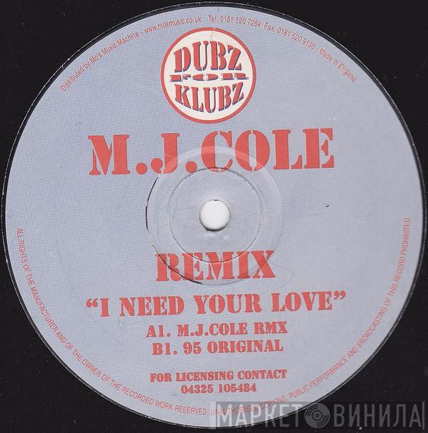 Dub Syndicate Productions - I Need Your Love (M.J.Cole Remix)