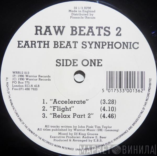 Earth Beat Synphonic, The Movement  - Raw Beats 2