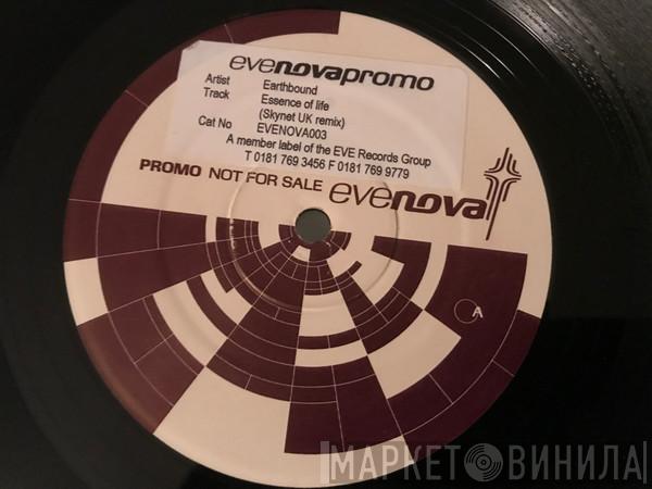  Earthbound  - Essence Of Life (Skynet UK Remix)