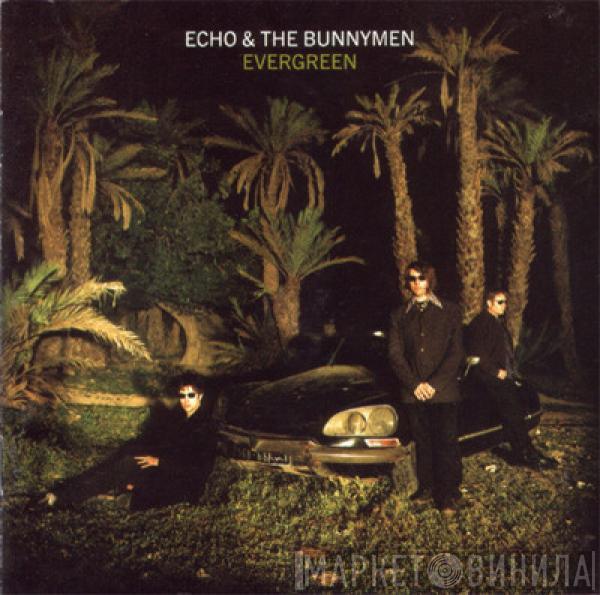 Echo & The Bunnymen  - Evergreen