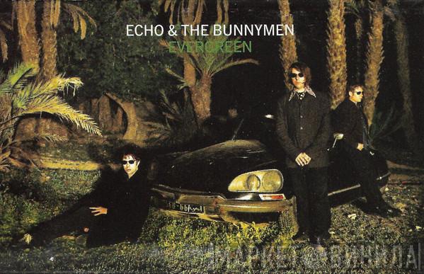  Echo & The Bunnymen  - Evergreen