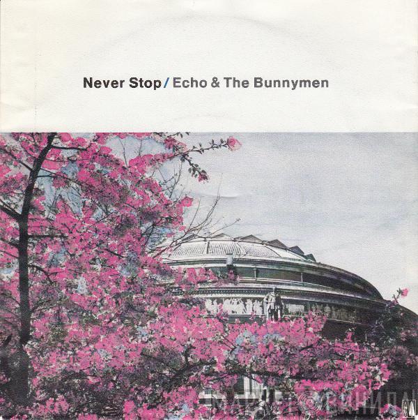  Echo & The Bunnymen  - Never Stop