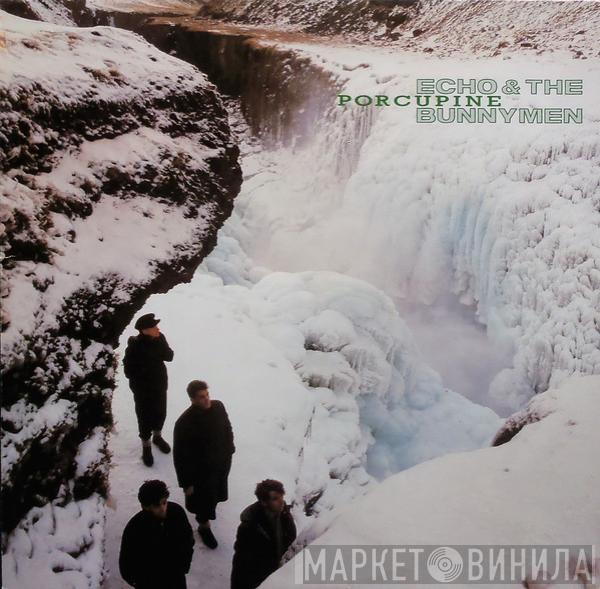  Echo & The Bunnymen  - Porcupine
