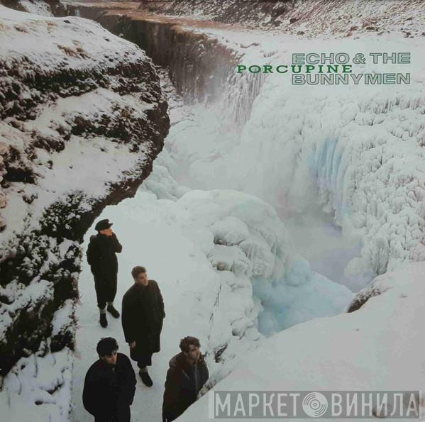  Echo & The Bunnymen  - Porcupine
