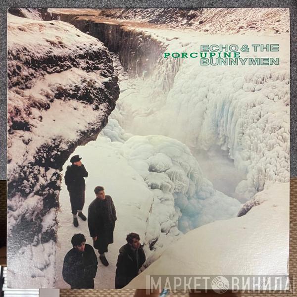  Echo & The Bunnymen  - Porcupine