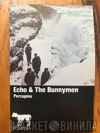  Echo & The Bunnymen  - Porcupine
