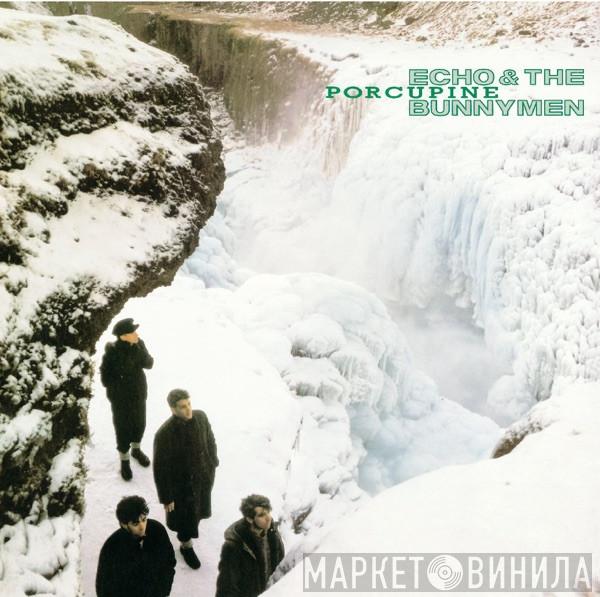  Echo & The Bunnymen  - Porcupine