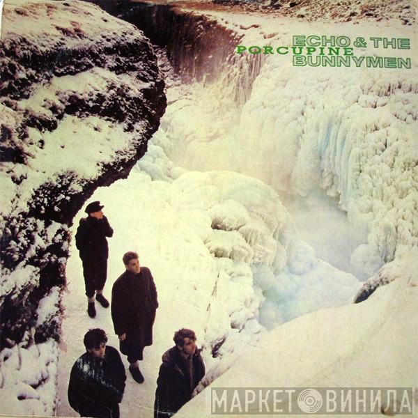  Echo & The Bunnymen  - Porcupine