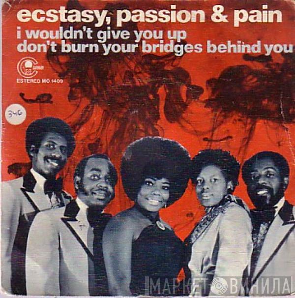  Ecstasy, Passion & Pain  - I Wouldn't Give You Up / Don't Burn Your Bridges Behind You