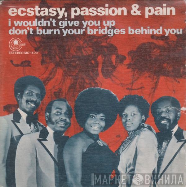  Ecstasy, Passion & Pain  - I Wouldn't Give You Up / Don't Burn Your Bridges Behind You