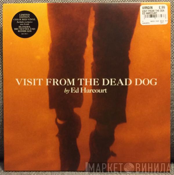 Ed Harcourt - Visit From The Dead Dog