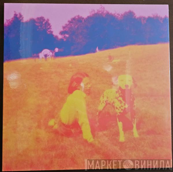 Eels - Blinking Lights And Other Revelations