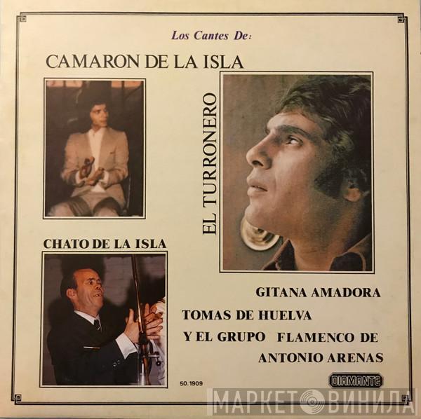 El Camarón De La Isla, El Turronero, Chato De La Isla, Gitana Amadora, Tomás De Huelva, Grupo Flamenco De Antonio Arenas - Los Cantes de