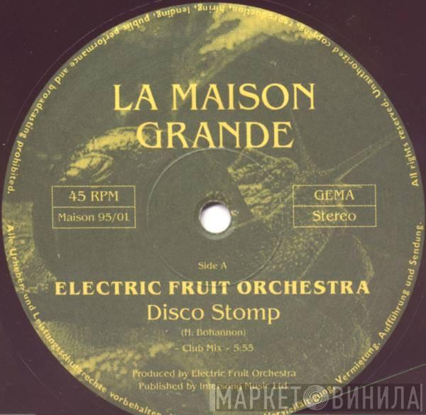 Electric Fruit Orchestra - Disco Stomp