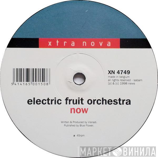 Electric Fruit Orchestra - Now / ... And Then