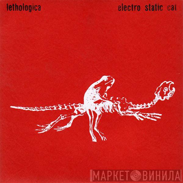 Electro Static Cat - Lethologica