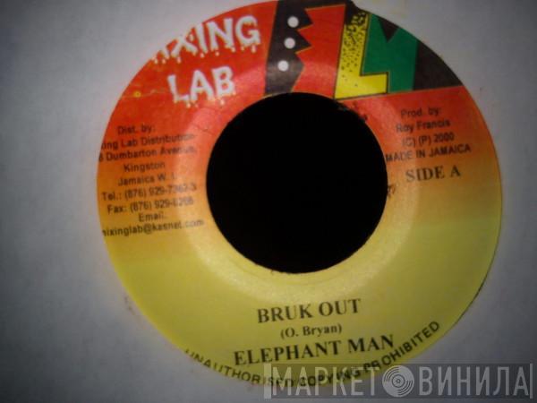 Elephant Man, SQJ - Bruk Out / Education