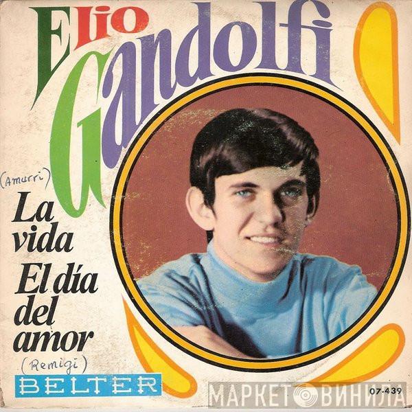 Elio Gandolfi - La Vida / El Dia Del Amor