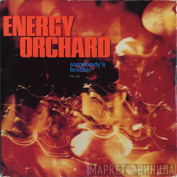 Energy Orchard - Somebody's Brother