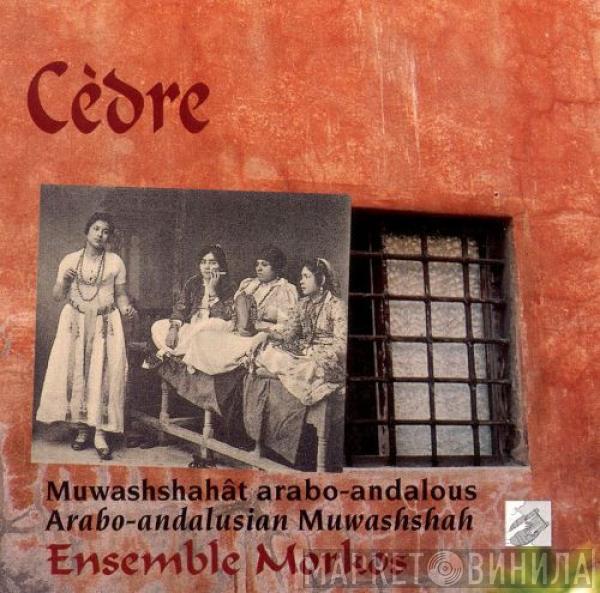 Ensemble Morkos - Cèdre (Muwashshah Arabo-Andalou = Arabo-Andalusian Muwashshah)