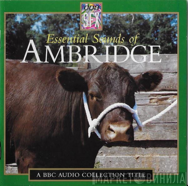  - Essential Sounds Of Ambridge