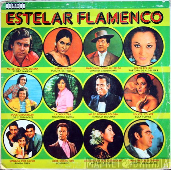  - Estelar Flamenco