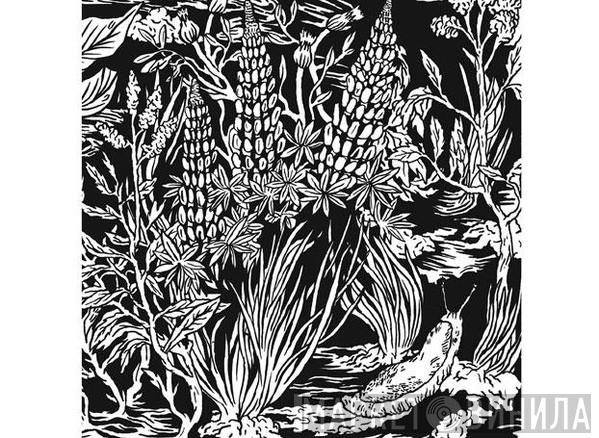  Eternal Tapestry  - Wild Strawberries