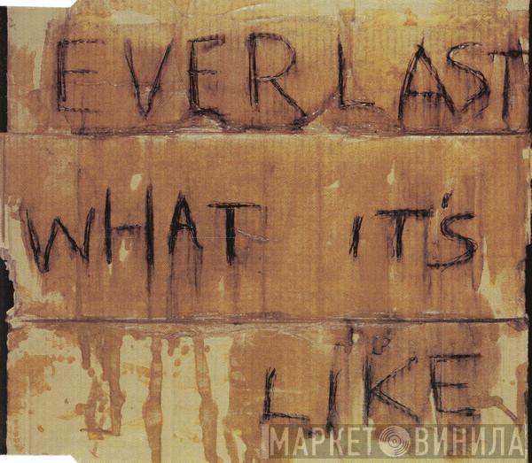 Everlast  - What It's Like
