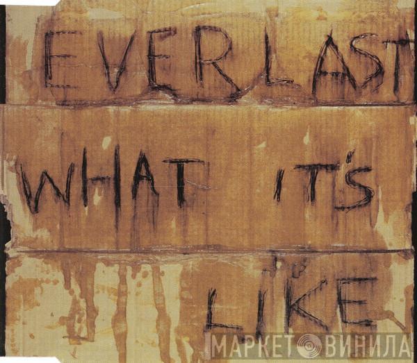 Everlast - What It's Like