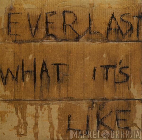  Everlast  - What It's Like