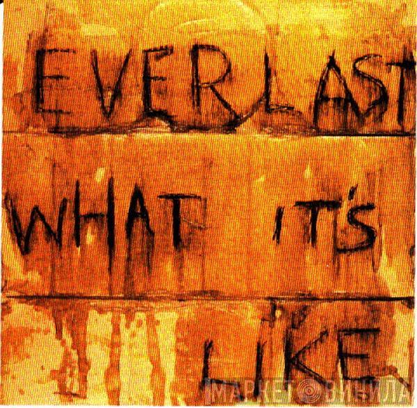  Everlast  - What It's Like