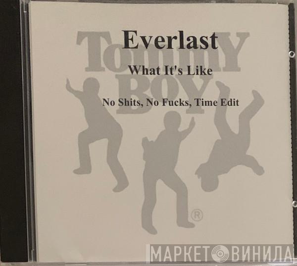  Everlast  - What It's Like