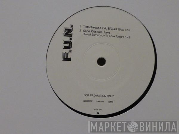  - F.U.N. Album Sampler