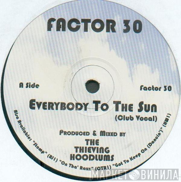 Factor 30 - Everybody To The Sun