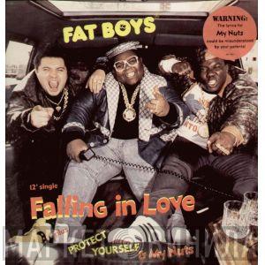  Fat Boys  - Falling In Love
