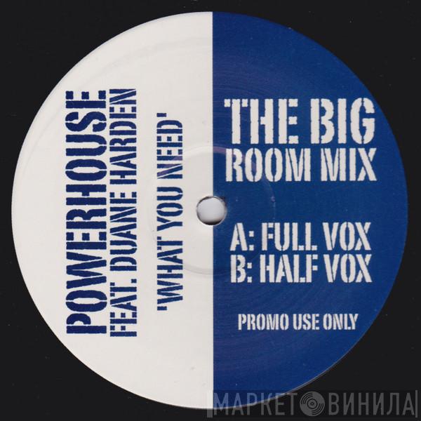 Feat. Powerhouse  Duane Harden  - What You Need (The Big Room Mix)