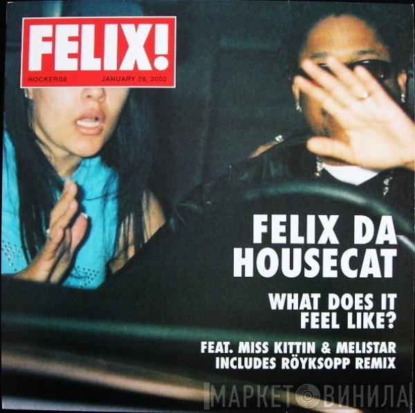  Felix Da Housecat  - What Does It Feel Like?