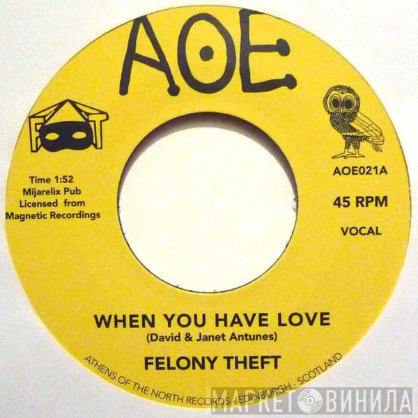 Felony Theft - When You Have Love / Run For Cover