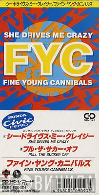  Fine Young Cannibals  - She Drives Me Crazy
