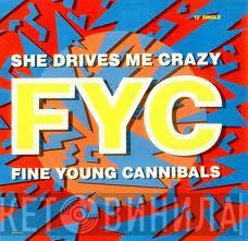  Fine Young Cannibals  - She Drives Me Crazy