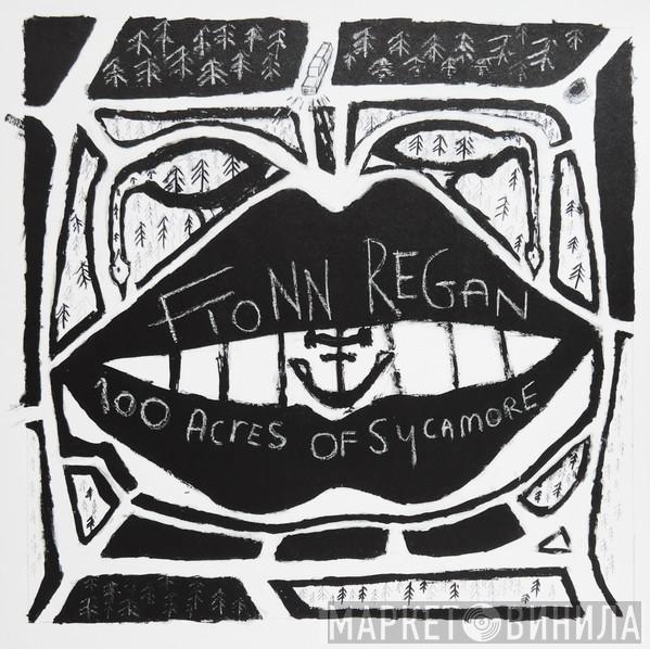 Fionn Regan - 100 Acres Of Sycamore